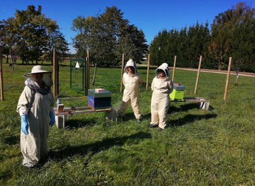 Projet autour de l’abeille et de l’apiculture au FAS Ernest Boué