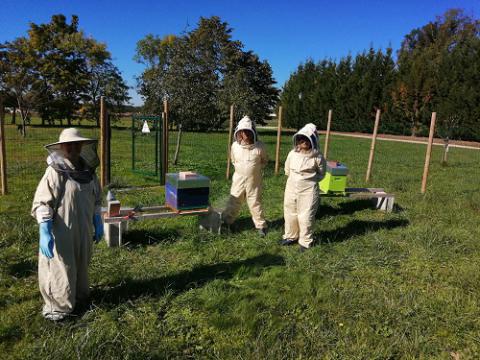 Projet autour de l’abeille et de l’apiculture au FAS Ernest Boué